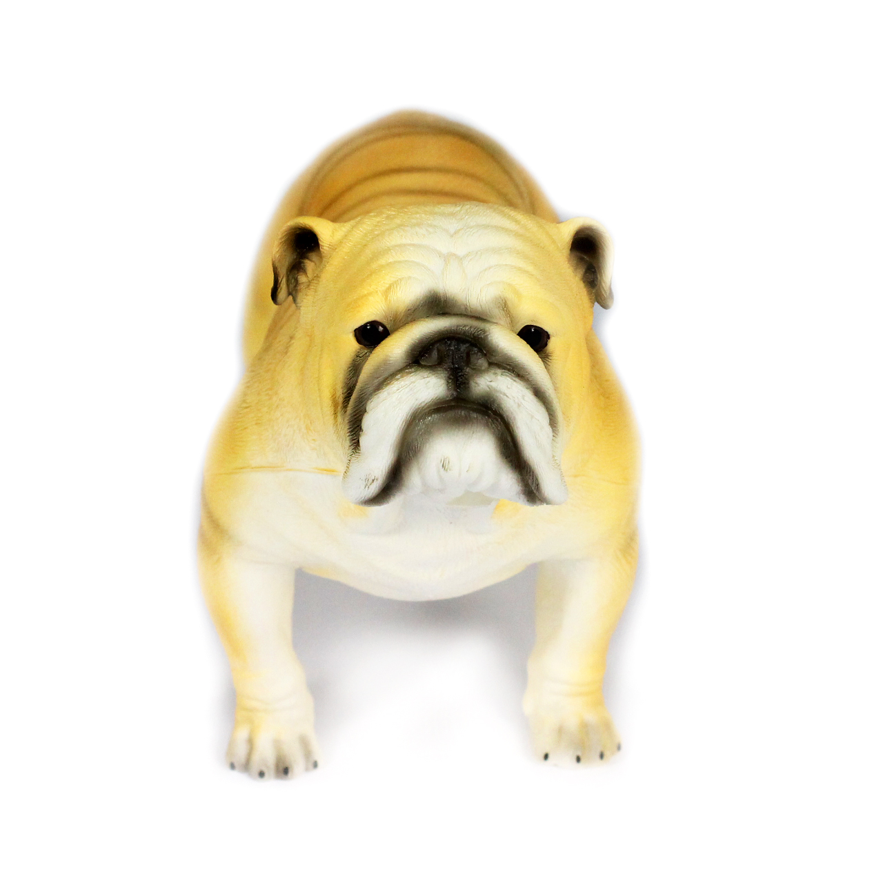 WOOF! Medium Bulldog