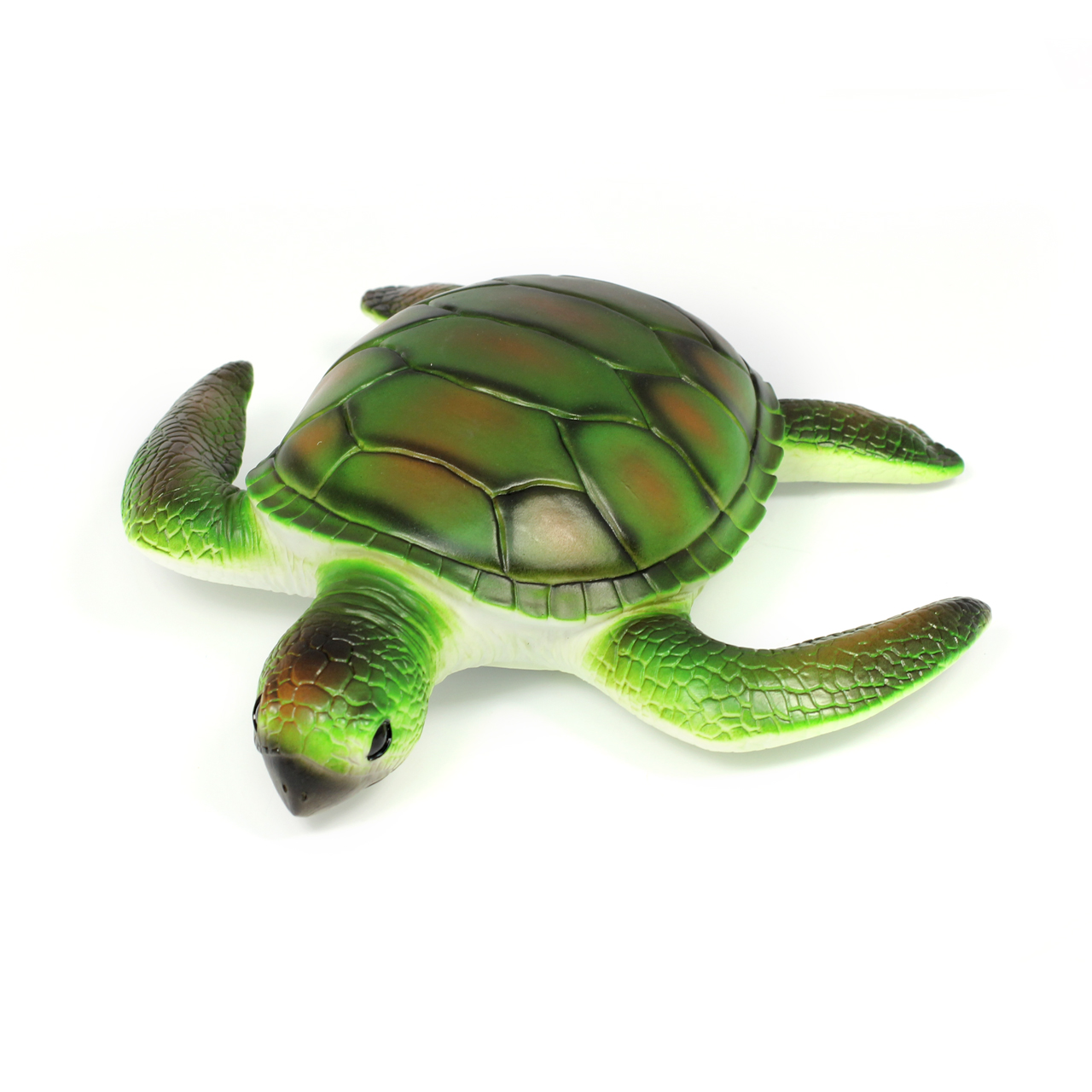 Turtle With Three Turtle Eggs Bundle