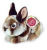 Brown Bunny Rabbit Soft Plush Toy