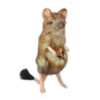 Hansa Marsupial Mouse Plush Toy, 4806021974520