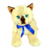 Siamese Kitten Cat Plush Toy,  Bamboo, Bocchetta Plush Toys - 070167