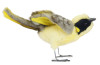 Helmeted Honeyeater Bird Plush Toy Hansa, 4806021966945