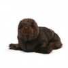 Sea Lion Plush Toy, Ronan, Gund