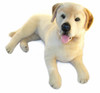 Labrador Dog Plush Toy Beau, Huge, Bocchetta