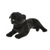 Black Pug Dog Plush Toy, Bandit