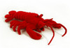 Lobster Plush Toy - CA Australia 30cm