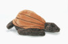 Leathery Turtle Soft Toy Australian Made Endangered Species