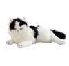 Black and White Cat Lying Medium, Woodrow, Bocchetta