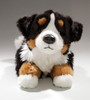 Face, Bernese Mountain Dog, Carl Dick Germany EAN 012692