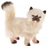 Himalayan Cat Plush Toy - Primrose