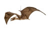 Hansa Huge Pterodactyl Dinosaur Toy Huge 100cm Wingspan
