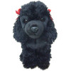 Black Poodle Dog Faithful Friends