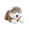 Husky Puppy Dog Plush Toy Marbles