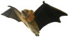 Flying Fox (Bat) Stuffed Animal Hansa Creations #3705