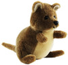 Quokka  Plush Toy Small