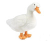 Duck Plush Toy, Living Nature