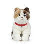 Scottish Fold Cat Plush Toy, Living Nature