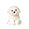 Maltese Puppy Dog Giant Plush Toy, Living Nature 24cm