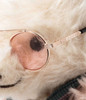 Steiff Rocks! Elton John - 355882