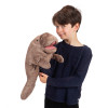 Boy playing with Manatee Puppet Folkmanis
