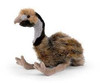 Emu Soft Plush Toy, Living Nature 30cm
