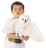 Snowy Owl Puppet, Folkmanis, with Boy