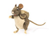 Pack Rat Puppet Folkmanis EAN 028471