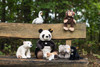 Guinea Pig Soft Toy, Dalle, Steiff 22cm EAN 074547, with his new friends