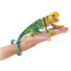 Mini Collared Lizard Finger Puppet Folkmanis EAN 027986