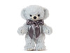 Standing 2024 Merrythought Cheeky Year Bear