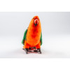 Face on View King Parrot Bird Plush Stuffed Animal Toy Hansa EAN 982235