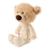 Forever Friends Moments Lost Tooth Toothpick Bear, Gund - 098824