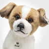 Face Detail Steiff Terri Dog Soft Toy 17cm - 076060
