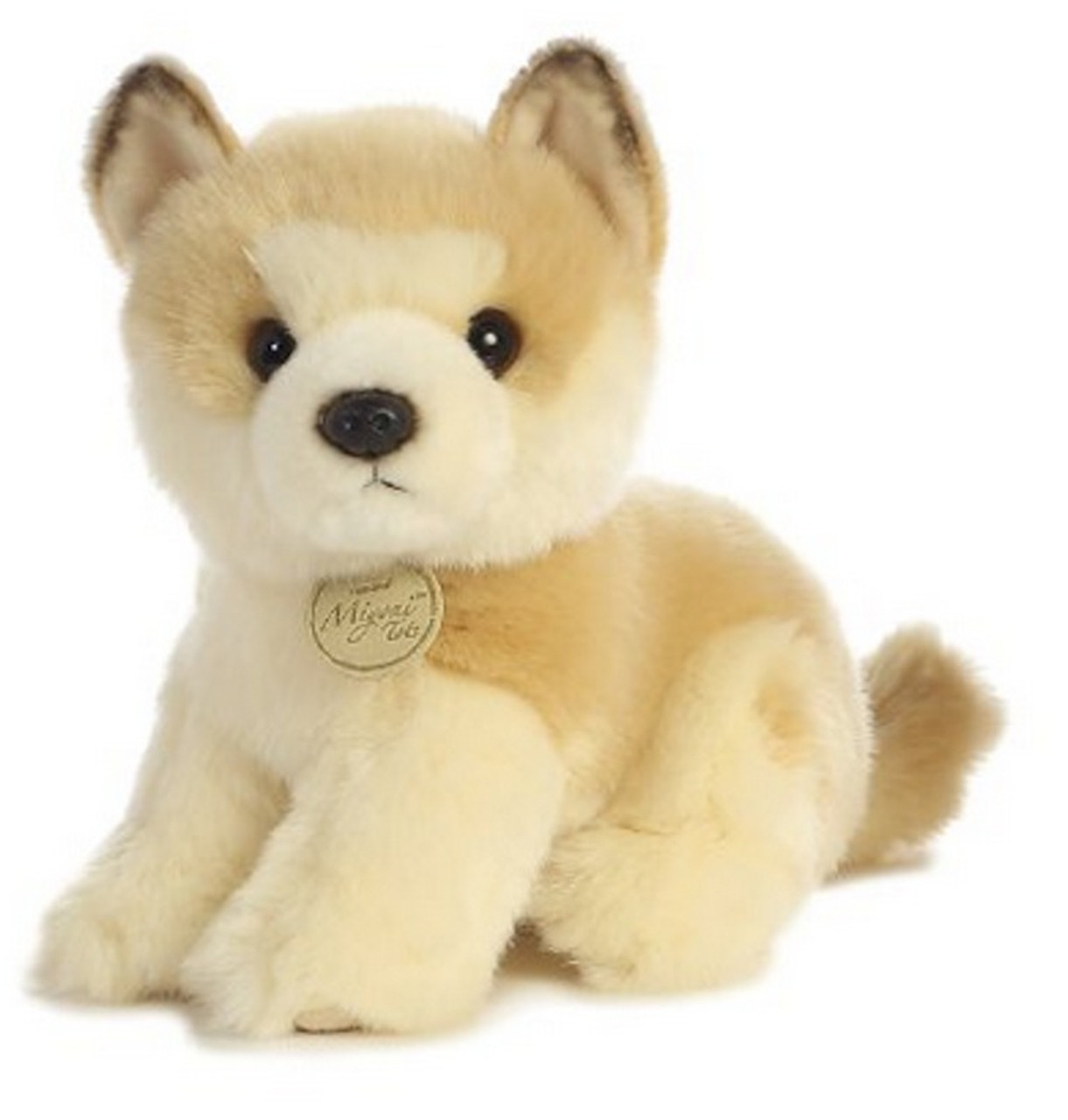 akita teddy