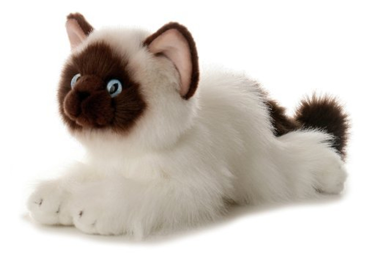 Aurora Berman Cat Kitten Plush Toy Bella
