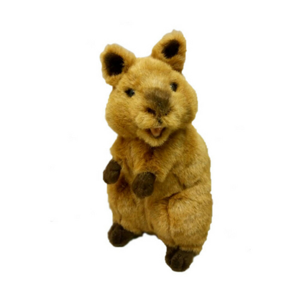 quokka cuddly toy