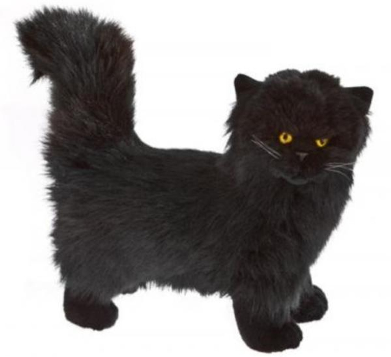 Black Cat Plush Toy, Sheffield, Bocchetta