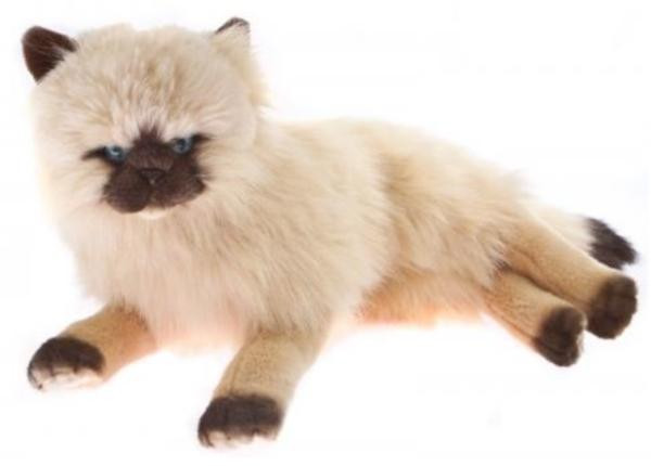 Himalayan Cat Plush Toy - Violet