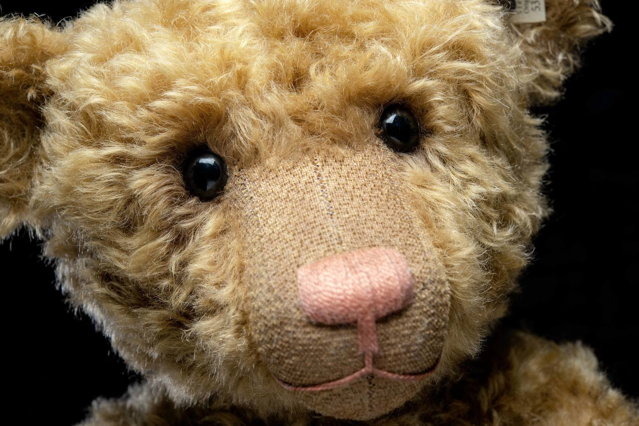 Face detail Teddy Bear Replica 1906 Steiff EAN 403385