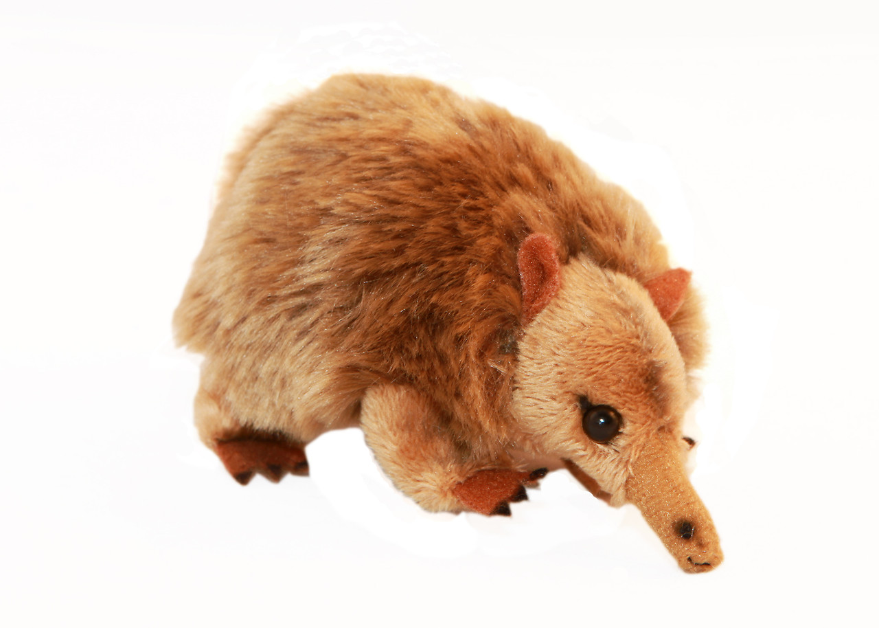 Mini Echidna Plush Toy