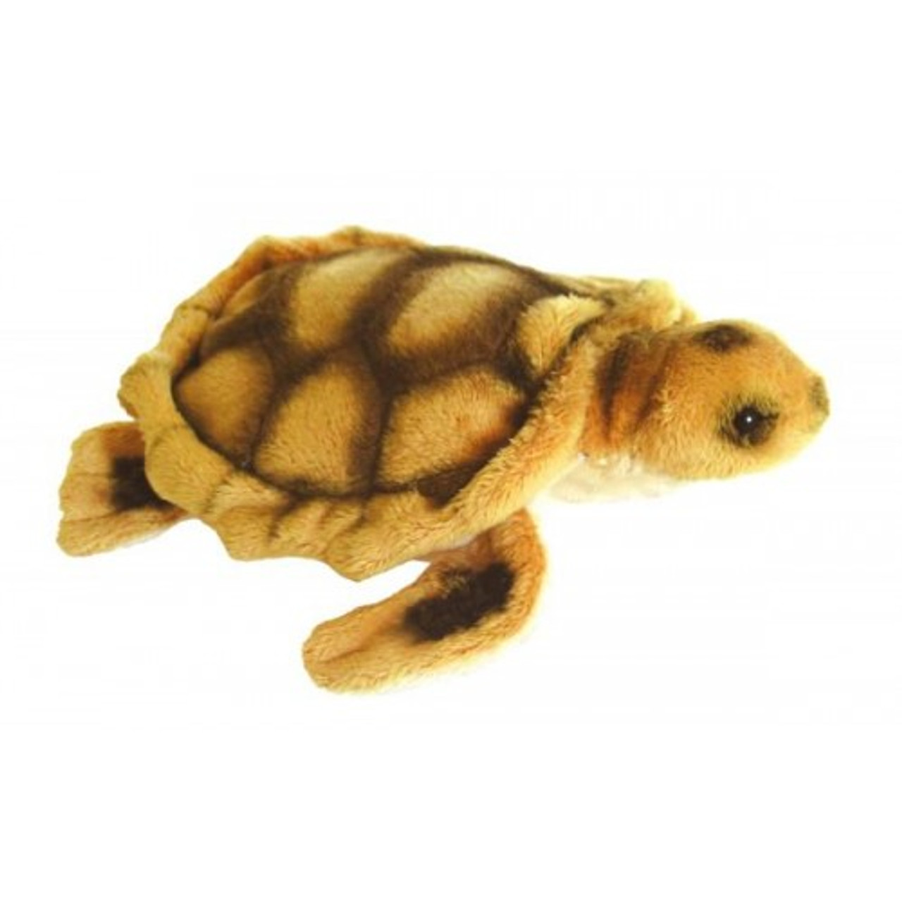 Turtle Plush Toy Flynn