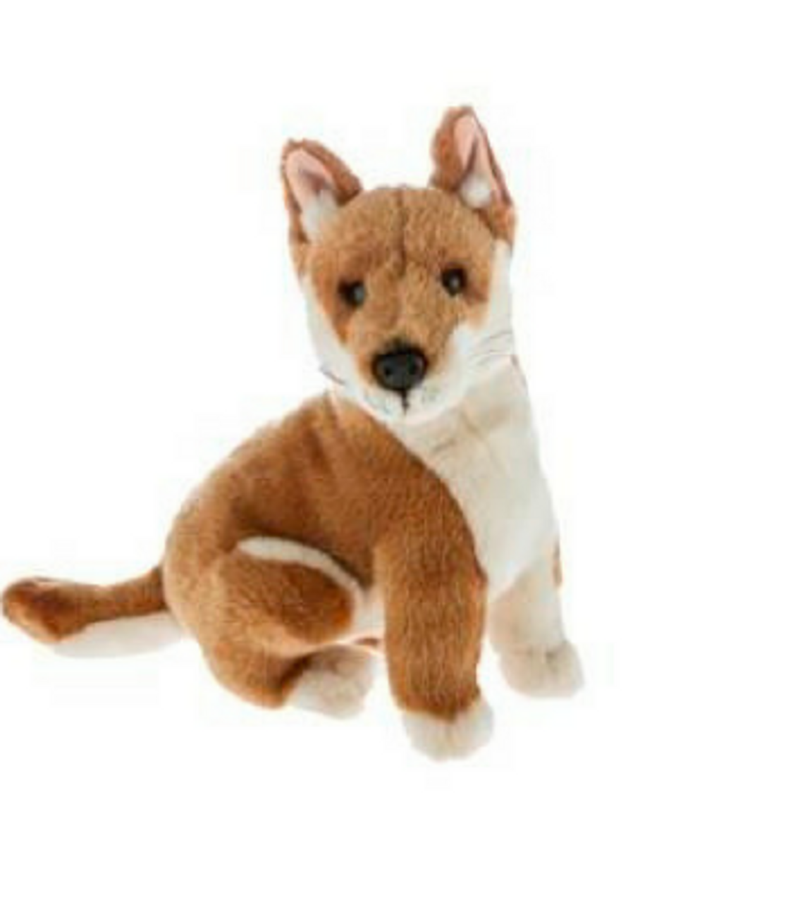 Dingo Dog Plush Toy, Byron