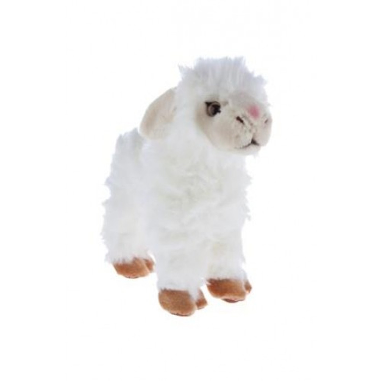 Lamb Plush Toy Curly