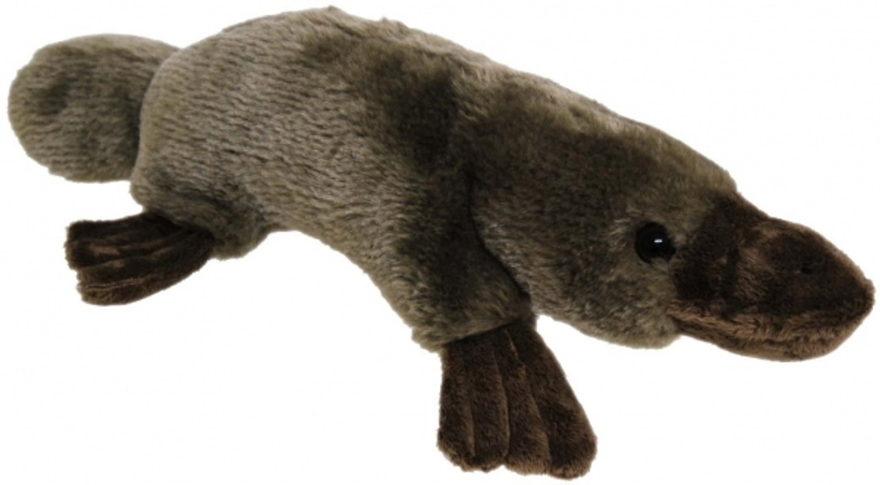 Platypus Soft Toy Medium