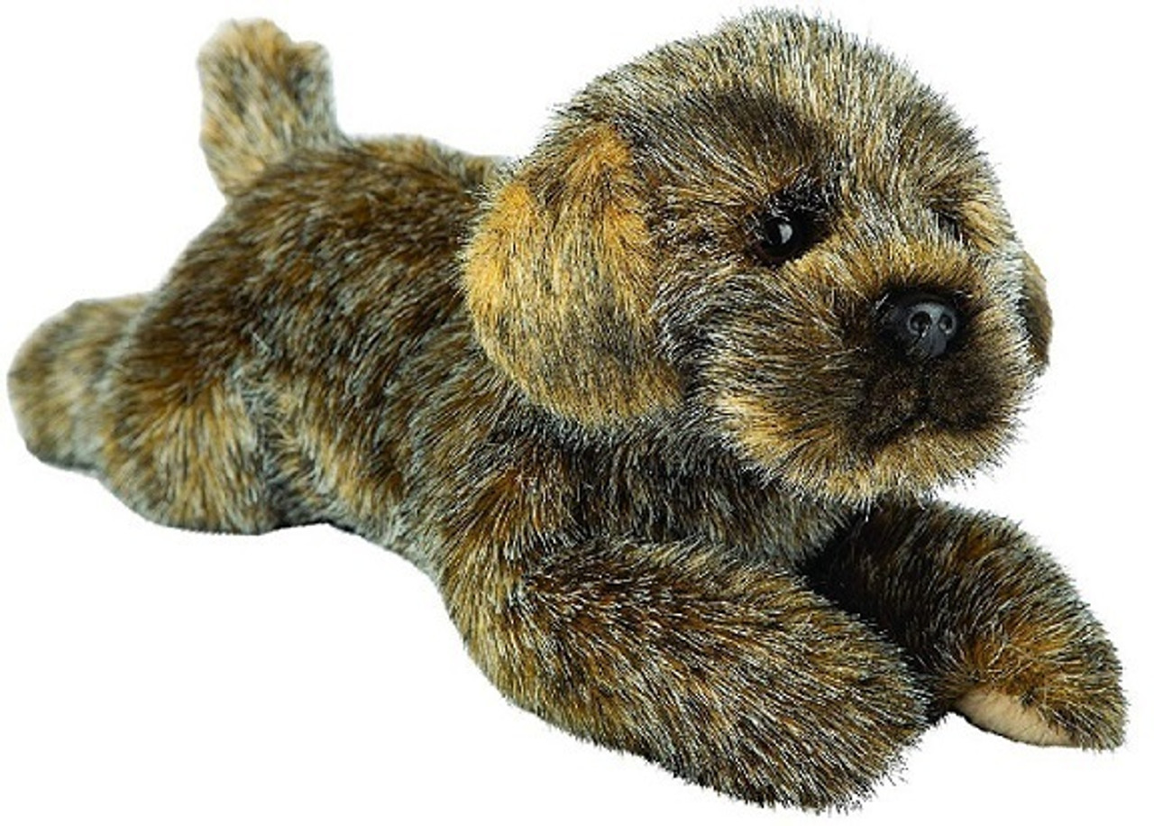 border terrier teddy