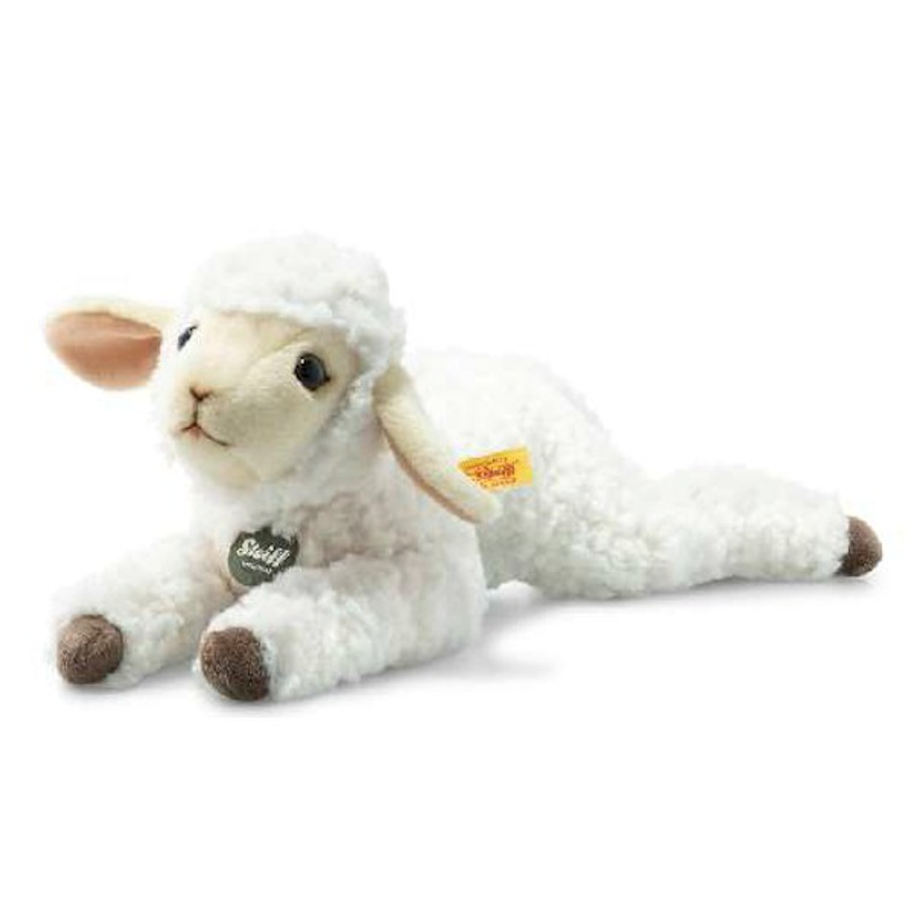 lamb teddies