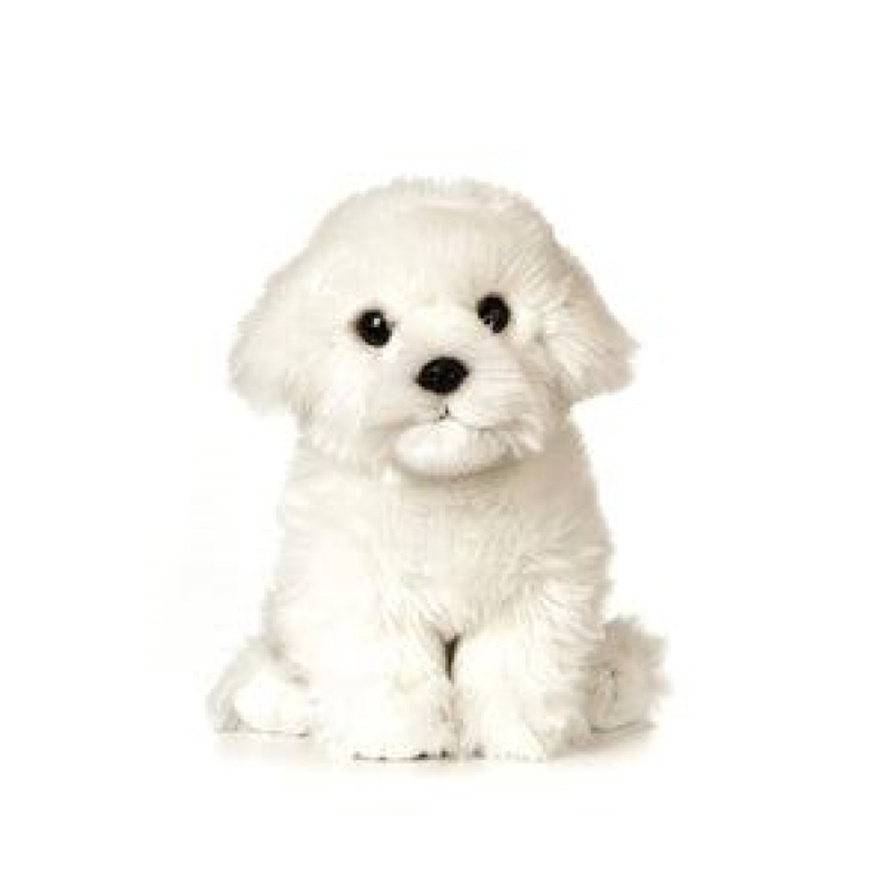 Maltese Puppy Dog Giant Plush Toy, Living Nature 24cm