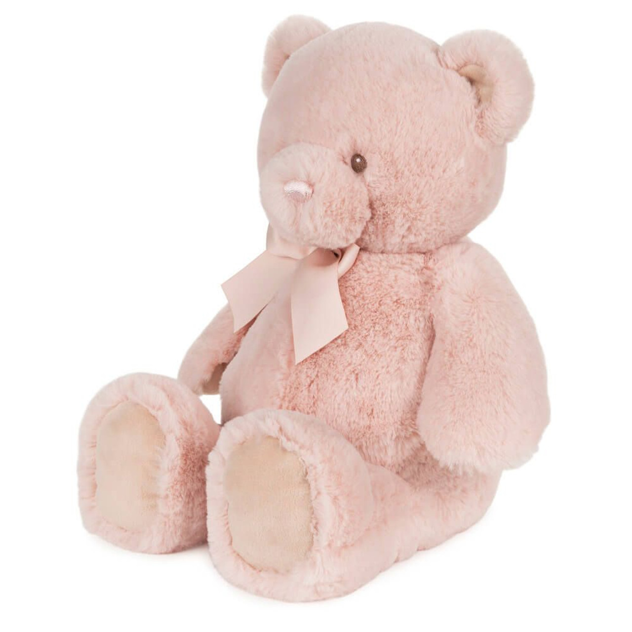 Right Side View My First Friend Teddy Bear Gund Large Pink EAN 6064794