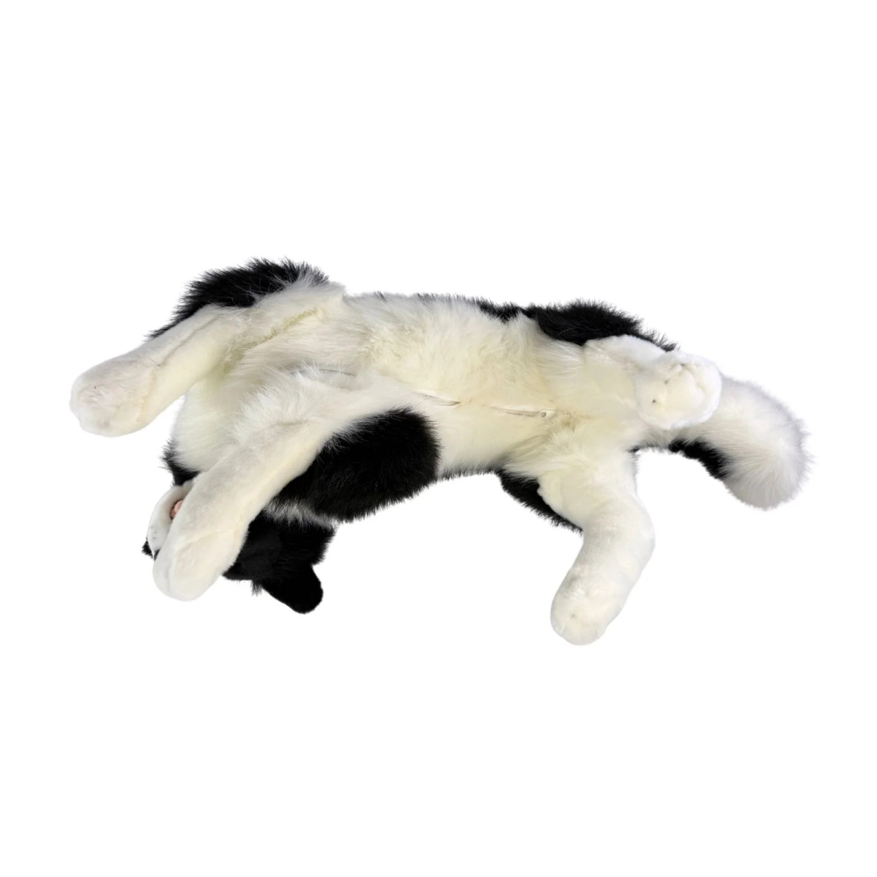 Border Collie Plush Dog Toy, with Pocket, Blitz, Huge 62cm -119040