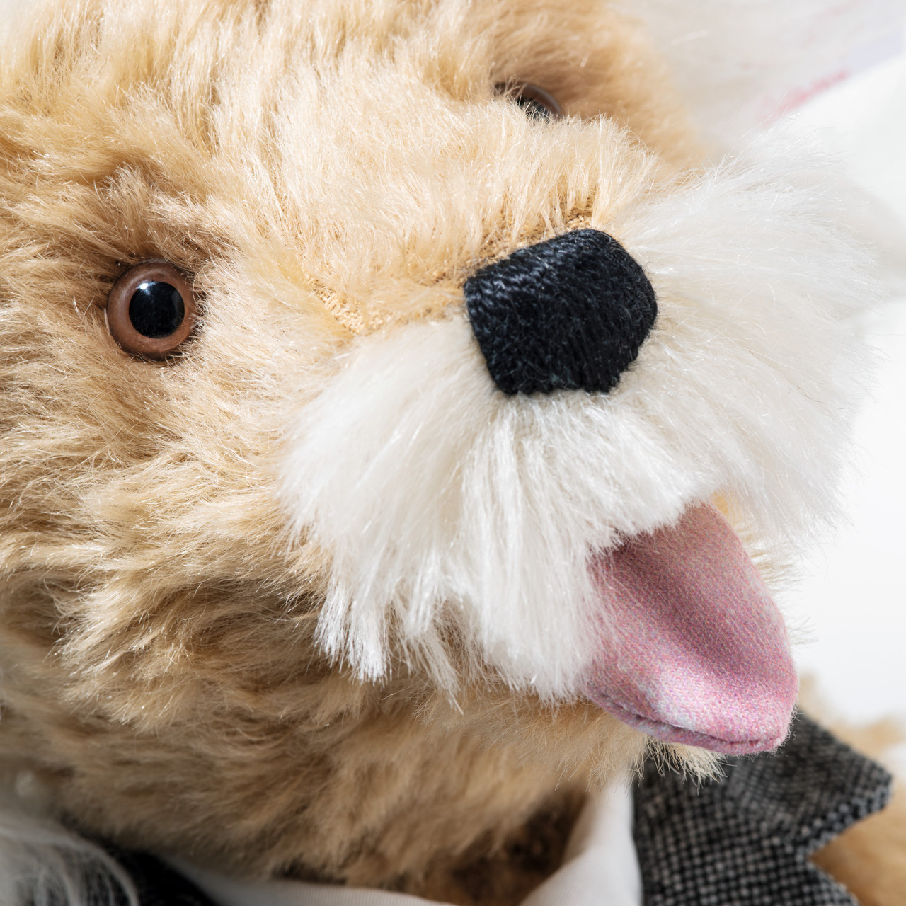Face detail Albert Einstein Teddy Bear Steiff, 35cm, EAN 355721